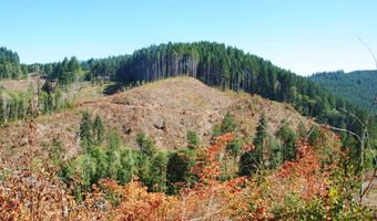 Van Horn 140 Rd, Alsea, OR 97324