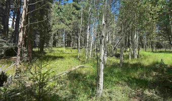 Calle de los Indios lot 44, Angel Fire, NM 87710