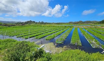56-1081 Kamehameha Hwy, Kahuku, HI 96731