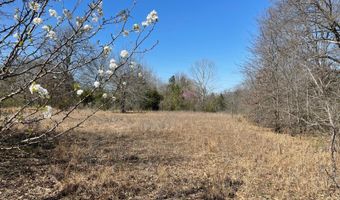 Willow Bend Lane, Atoka, OK 74525