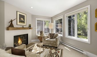 1145 Black Birch Dr, Aspen, CO 81611