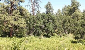 166 Jackalope Dr, Bayfield, CO 81122