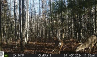 80 X Henry St, Alger, MI 48610
