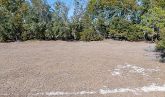 County Road 236 lot 5, Bell, FL 32619