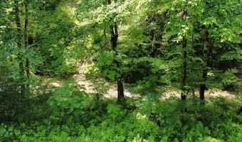 00 Tbd Long Shoal Br, Beattyville, KY 41311