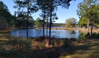 501 Southern Lakes Dr, Arabi, GA 31712