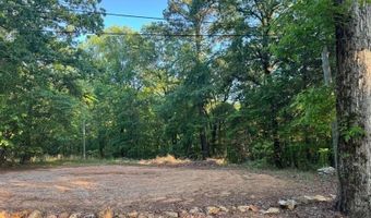 0 DAVIS ACRES Dr 72 & 73, Alpine, AL 35014