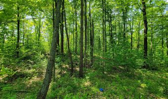 21 Nickerson Rd, Brandon, VT 05733