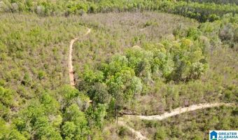 LANDFILL ROAD lot 1, Ashland, AL 36251