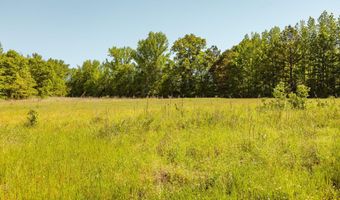 Beech Bluff Road, Beech Bluff, TN 38313