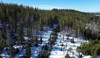 NHN Old Georgetown Road, Anaconda, MT 59711