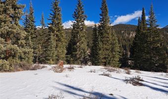 3553 RIVER Dr, Alma, CO 80420