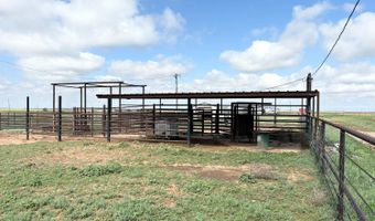 17707 County Road 2300, Abernathy, TX 79311