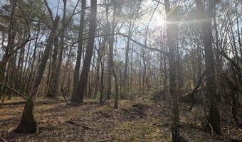 U.S. Highway 51, Bogue Chitto, MS 39629