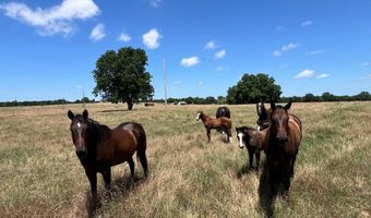 2459 Bussell Ridge Rd, Ardmore, OK 73401