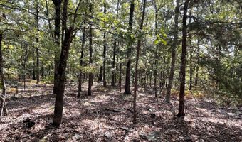 Tract 51 Highway 2, Antlers, OK 74523