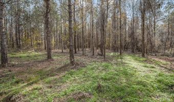 400 Dummyline Rd NE, Brookhaven, MS 39601