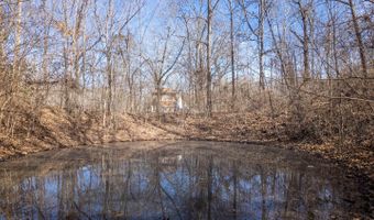 509 Old Cane Bluff Rd, Alton, MO 65606