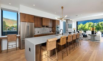 22860 Two Rivers Rd Penthouse, Basalt, CO 81621