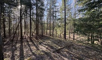 V/L Wildwood Road lot 9, Alger, MI 48610