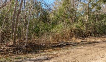 230 23rd Ave Lot L16 & 17/B233, Apalachicola, FL 32320