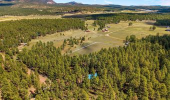 2 County Road 2081, Alpine, AZ 85920