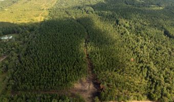 00 Pisgah Rd 2, Brandon, MS 39047