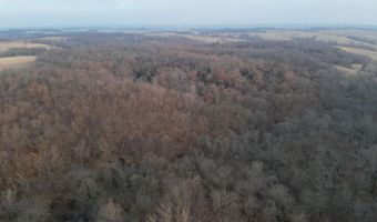 197 Th Trl, Albia, IA 52531