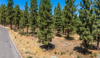 234 Redding Way, Carson City, NV 89705