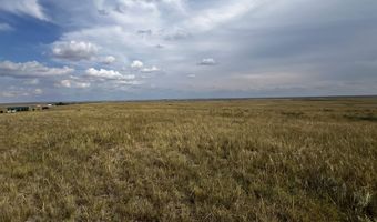 BUGGY RD, Carpenter, WY 82054