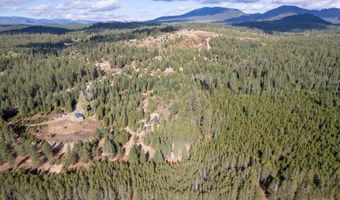 Nka Grand Fir, Athol, ID 83801