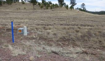 Lot 16a The Ranch At Alpine, Alpine, AZ 85920