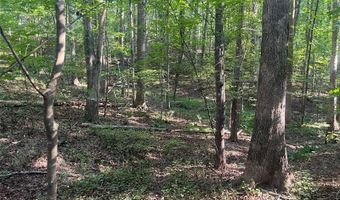 6 Acres Henry Scott, Ball Ground, GA 30107