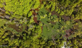 Beech Bluff Road, Beech Bluff, TN 38313
