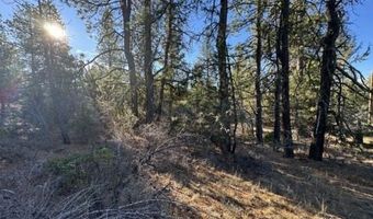 Hummingbird Dr, Bonanza, OR 97623