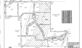 340 HIGH RIVER Ct, Alma, CO 80420