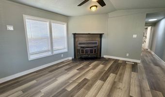 510 Sibbald Ave, Golconda, NV 89414