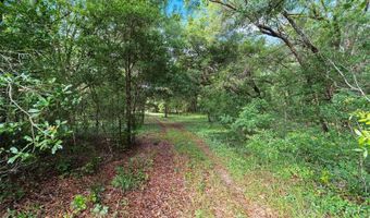 15422 SW 50TH Ave, Archer, FL 32618