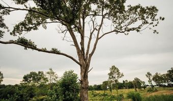 447 County Road 215, Abbeville, MS 38601