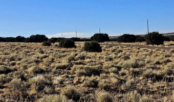 Lot 133 Circle Drive, Concho, AZ 85924