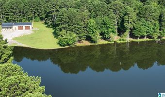 411 DR JENKINS Ln, Altoona, AL 35952