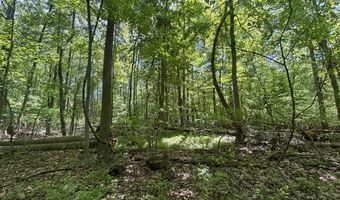 V/L 43.5A 104th Avenue, Allegan, MI 49010