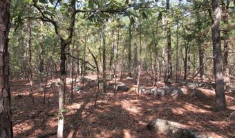 Tract 52 E 1885 Road, Antlers, OK 74523