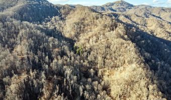 NC 209 Highway, Aurora, NC 28743