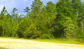 Cleveland Drive, Alford, FL 32420