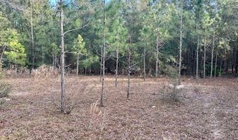 85 Th St, Bell, FL 32619