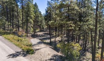 138 Green Ridge Dr, Bayfield, CO 81122