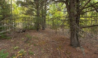 452 QUARTZVILLE Rd, Alma, CO 80420