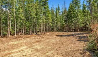NKA Wandering Wolf Ridge Lot 3, Clark Fork, ID 83811