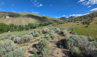 NKN E Tower Creek Road, Carmen, ID 83462